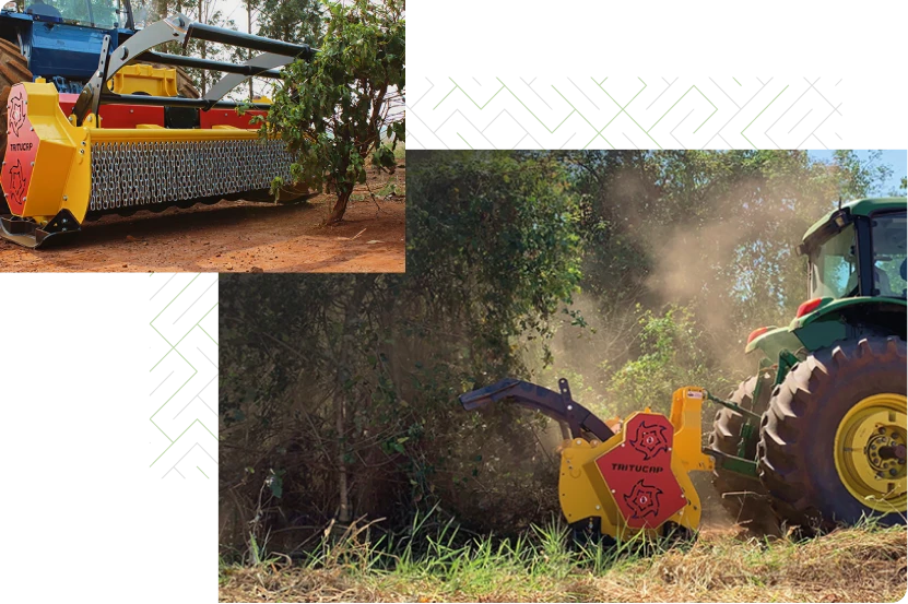 comunidade forte e solo produtivo 