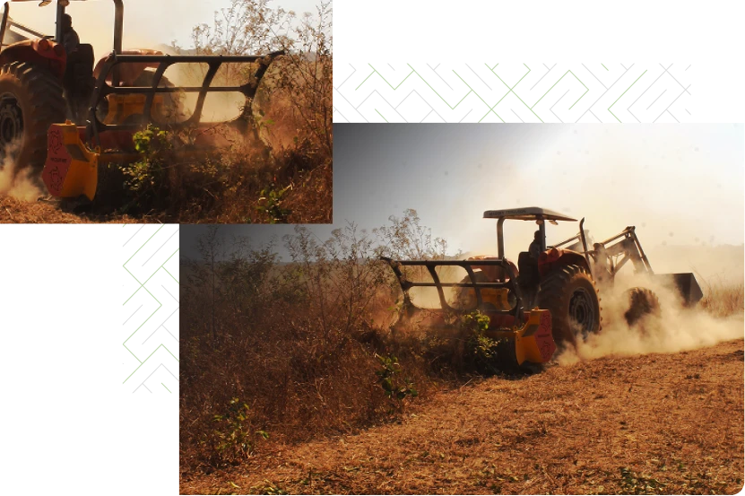 produtividade de volta ao campo 