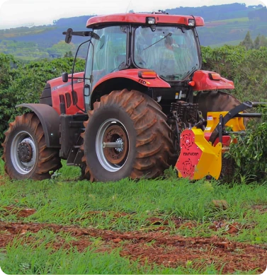 Subtítulo do conteúdo vem aqui (H2)