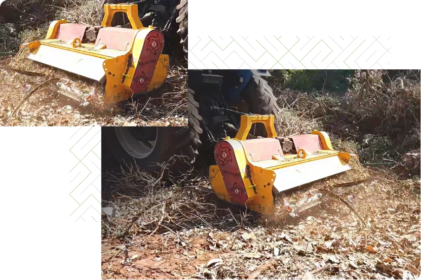 sustentabilidade no campo 