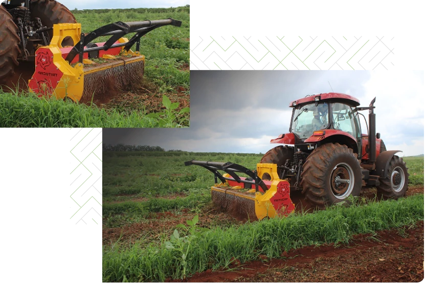 produtividade do seu campo 