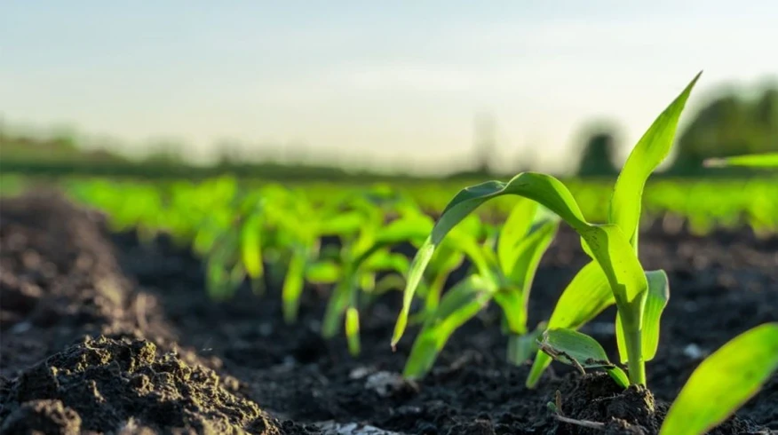 O Futuro é Regenerativo: Como a Tritucap se tornou símbolo da inovação sustentável na Agrishow 2026