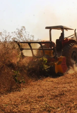 Triturador de Juquira