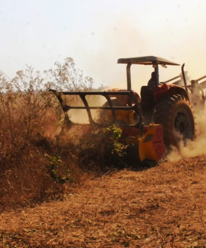 Triturador de Juquira