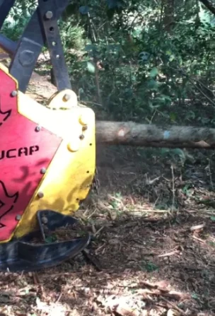 Triturador Florestal