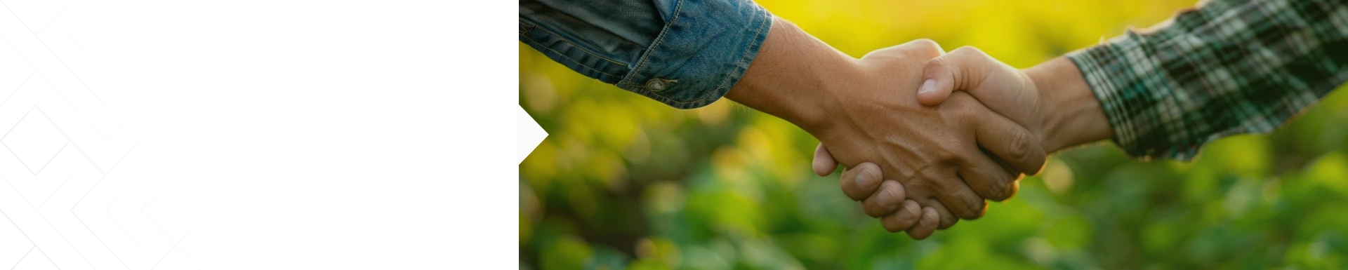 Confira alguns&nbsp;Depoimentos