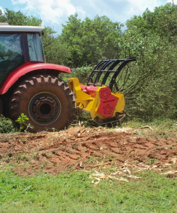 Triturador de Citrus