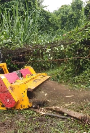 Triturador de Capoeira