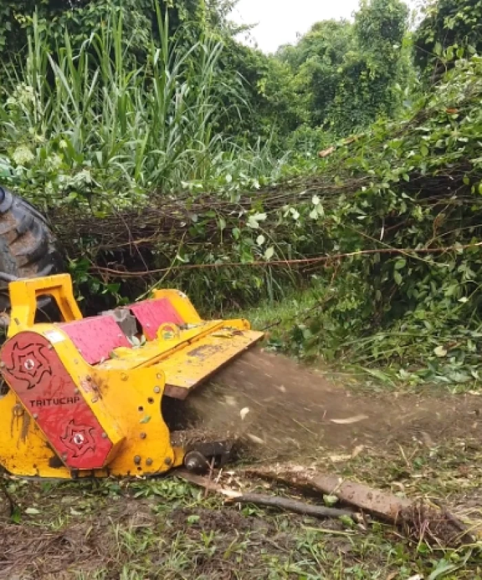 Triturador de Capoeira