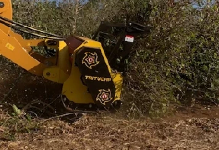 Inovação Sustentável: Tritucap triplica vendas na Agrishow 2026 com tecnologia que subs...